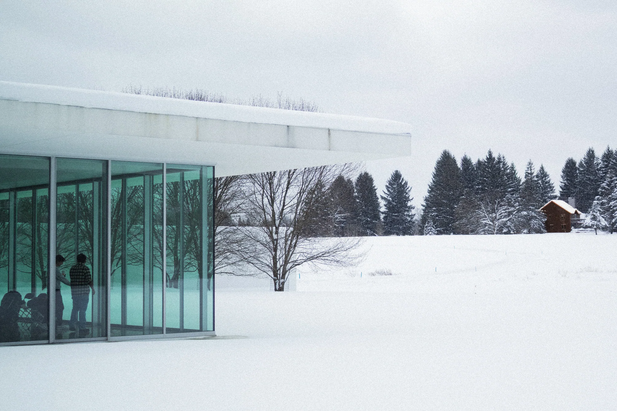 Photography by Andrew Wheat